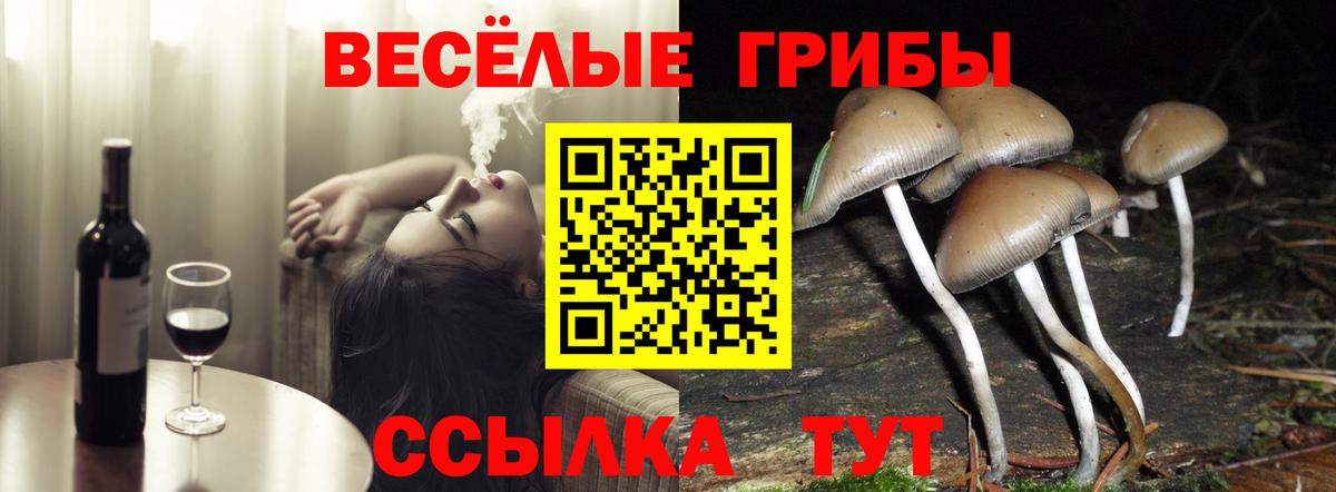 Галлюциногенные грибы ЛСД Лабытнанги