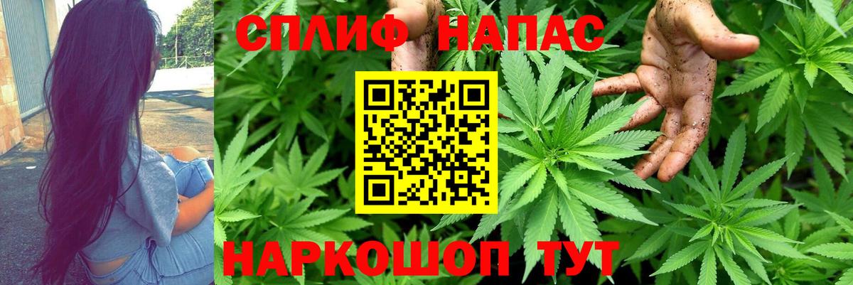 Бошки марихуана индика Лабытнанги